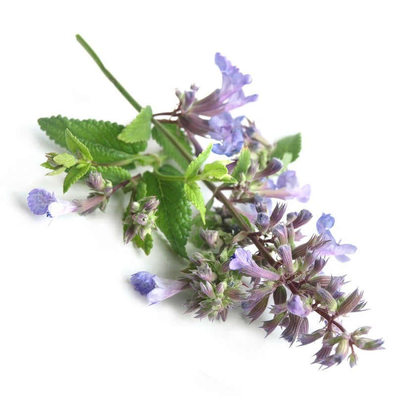 Essential Oils- Custom Blend